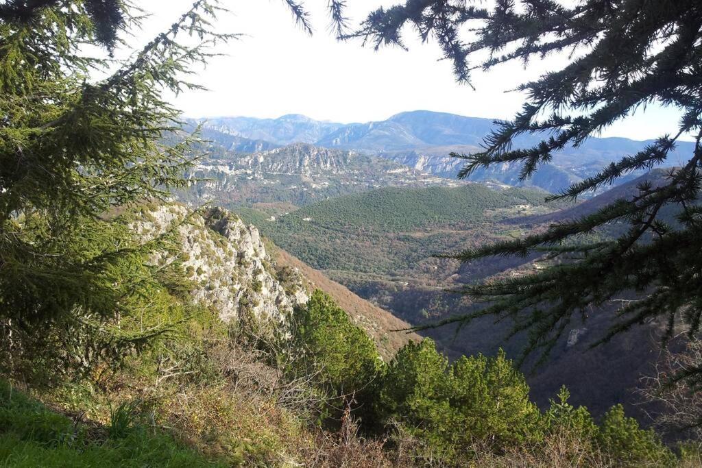 Joli studio entre mer et montagne proche de Nice Bouyon Extérieur photo